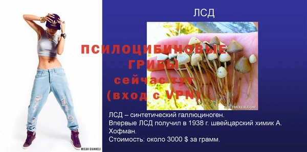 сатива Пестово