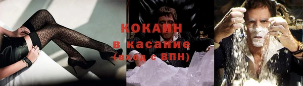 сатива Пестово