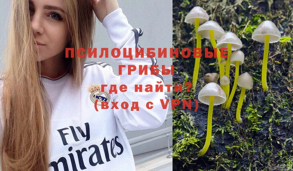 сатива Пестово