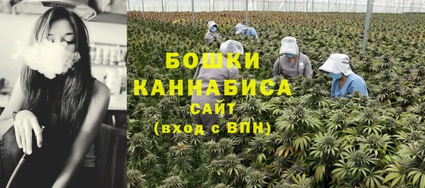 сатива Пестово