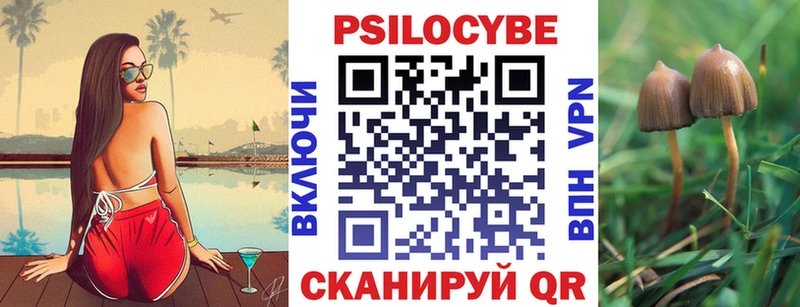 наркотики Сортавала Галлюциногенные грибы Psilocybe